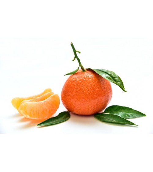 Mandarine rouge bio