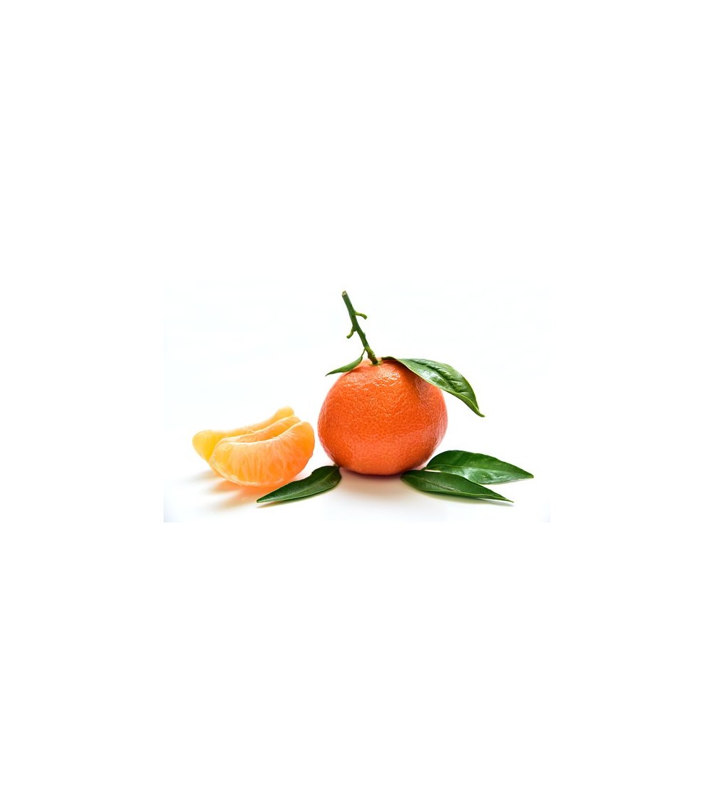 Mandarine rouge bio